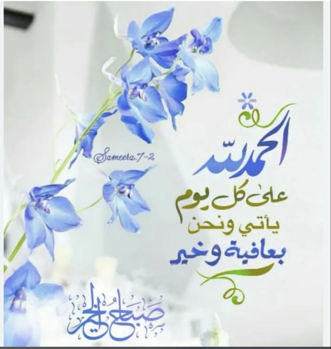 راشد💜 tweet media