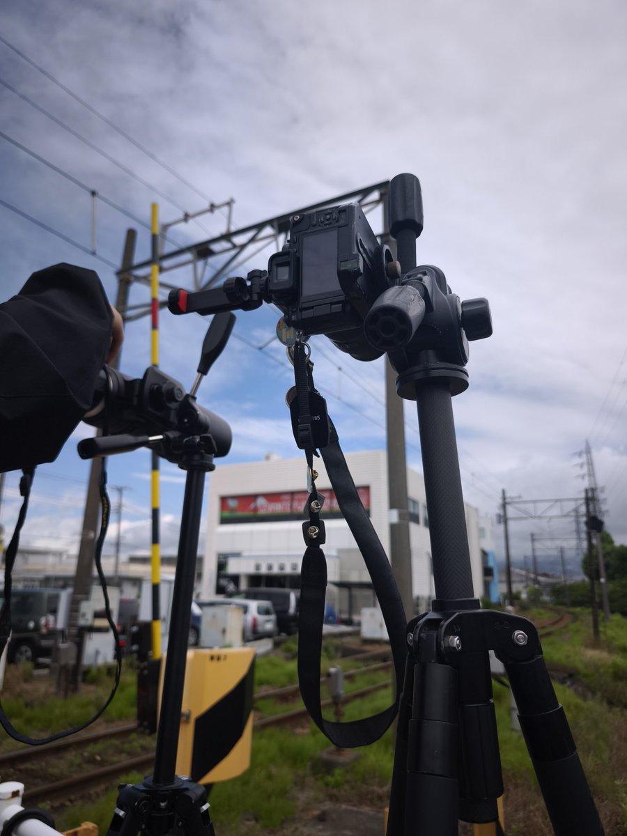 さらい(おといね) tweet media