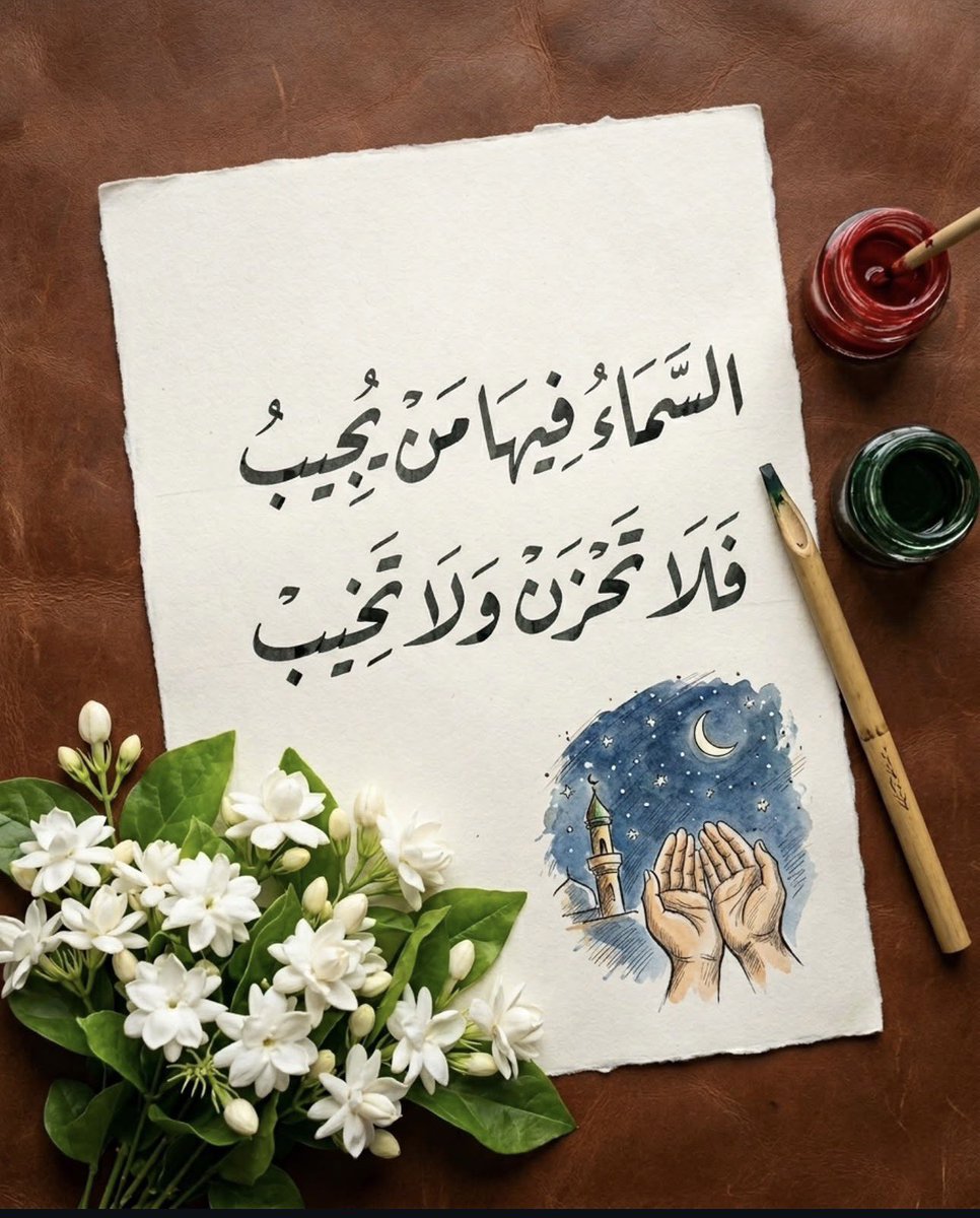 🤍 🤍 المنال💚💚 tweet media