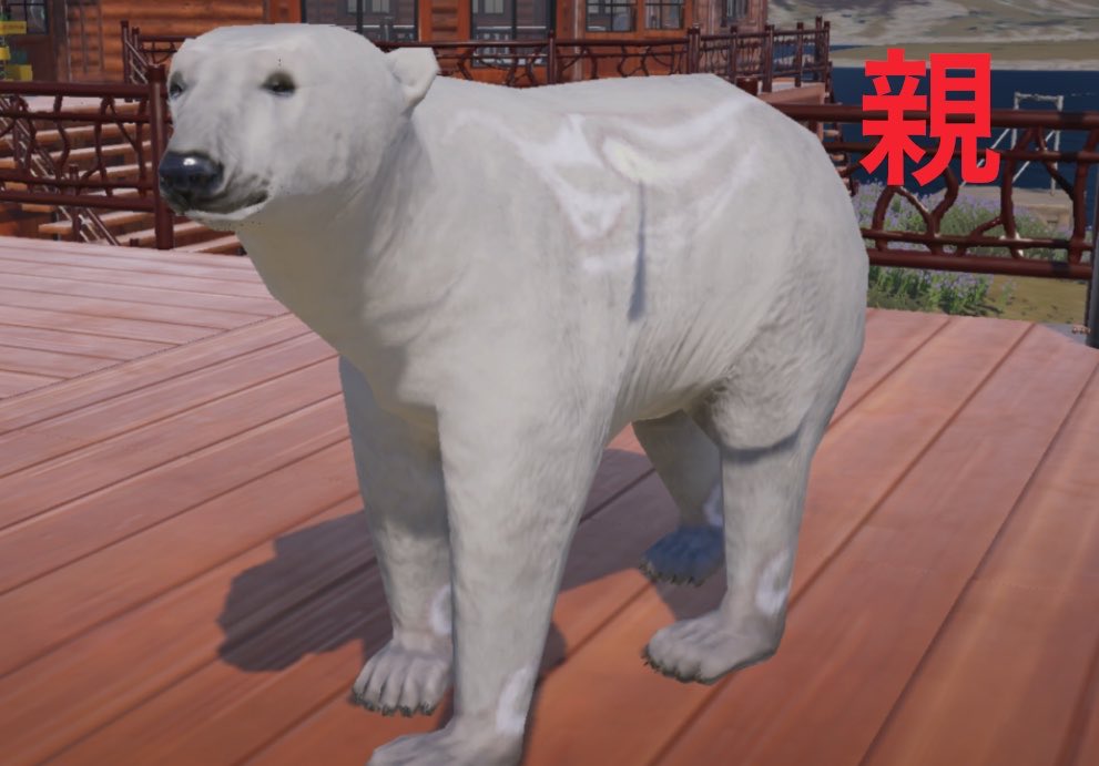 白鶴 tweet media