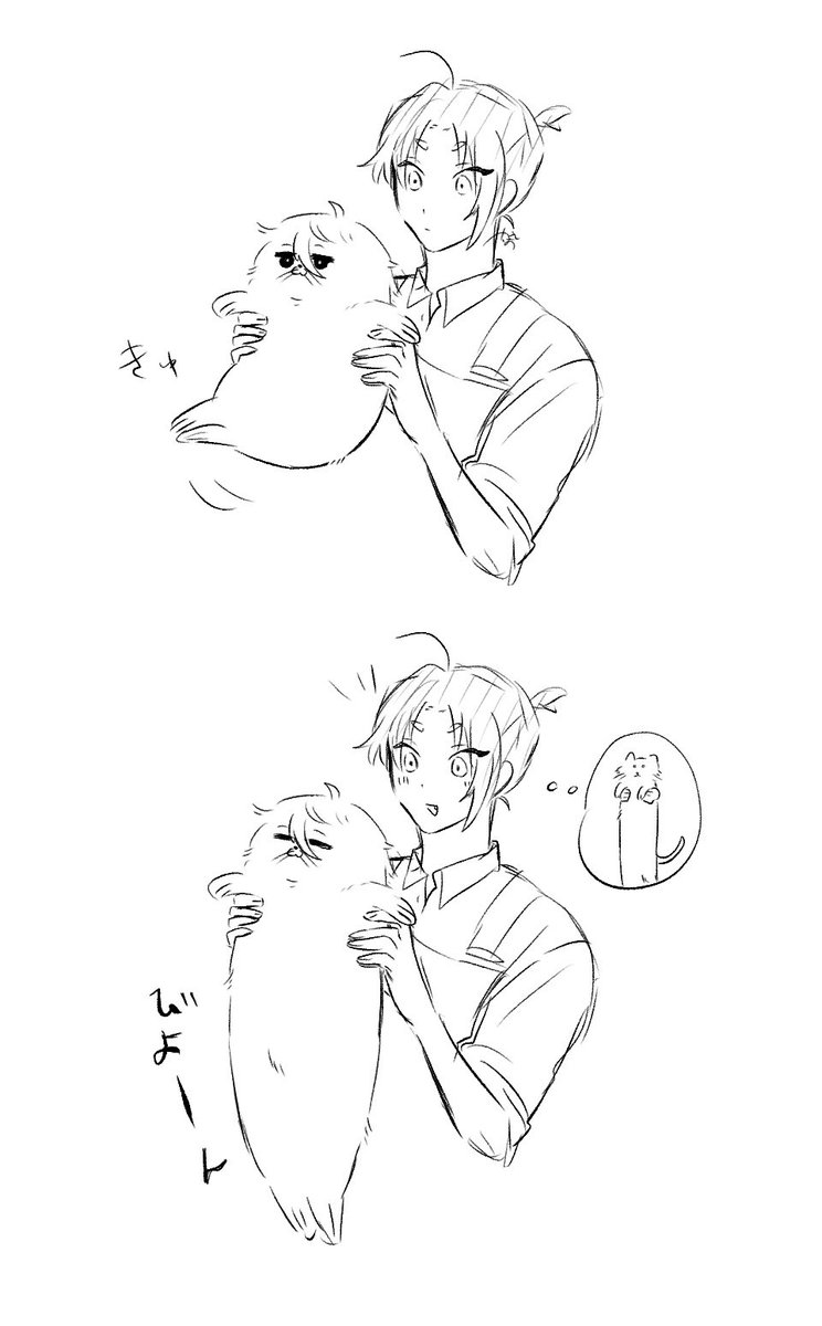 shime_saba_a's tweet photo. 🐱が伸びるように、🦭もまた伸びるのだ https://t.co/kbaU4u2Lr9