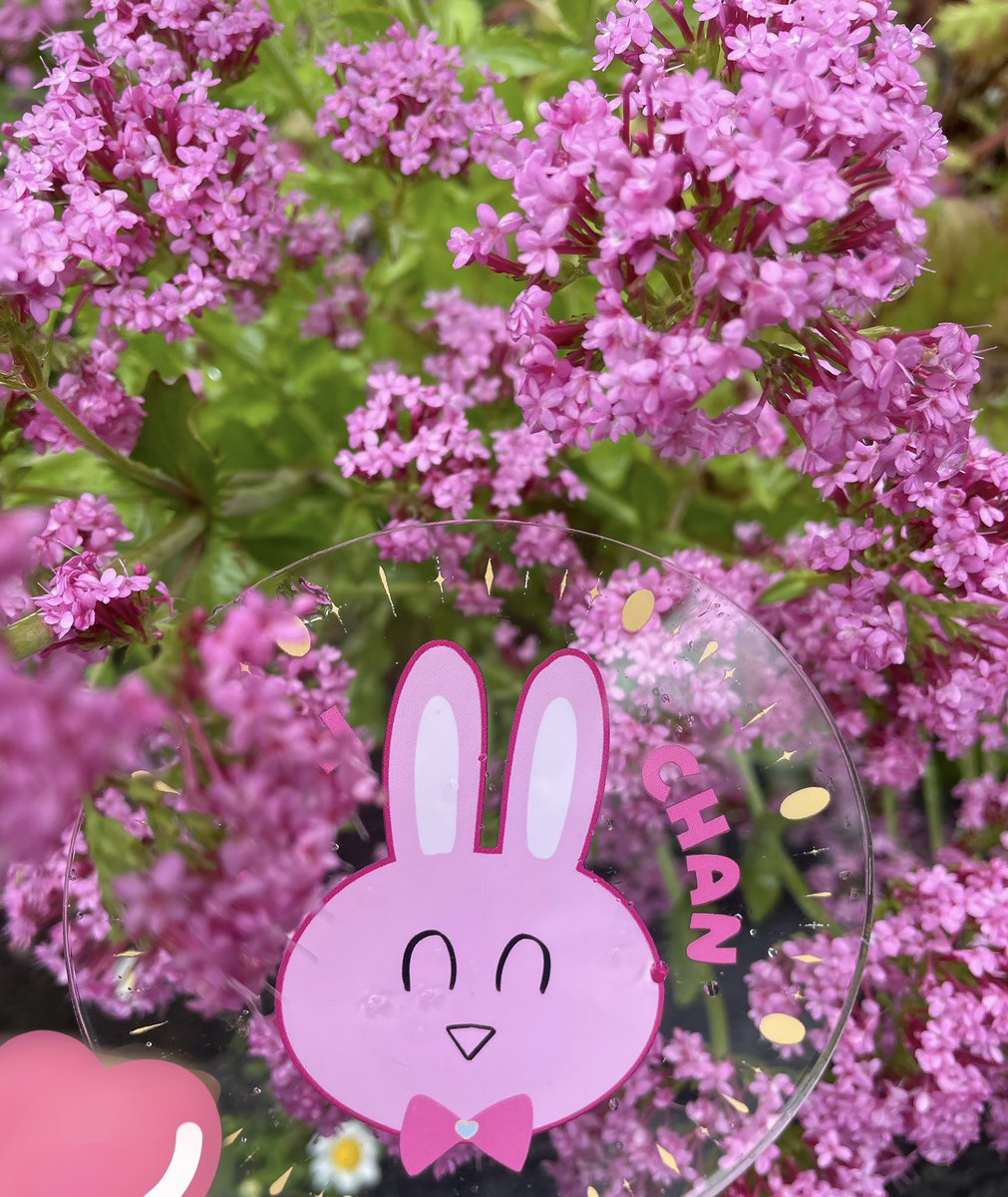 ふう🐰🎀 tweet media