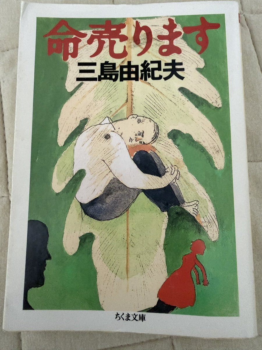 節子 tweet media