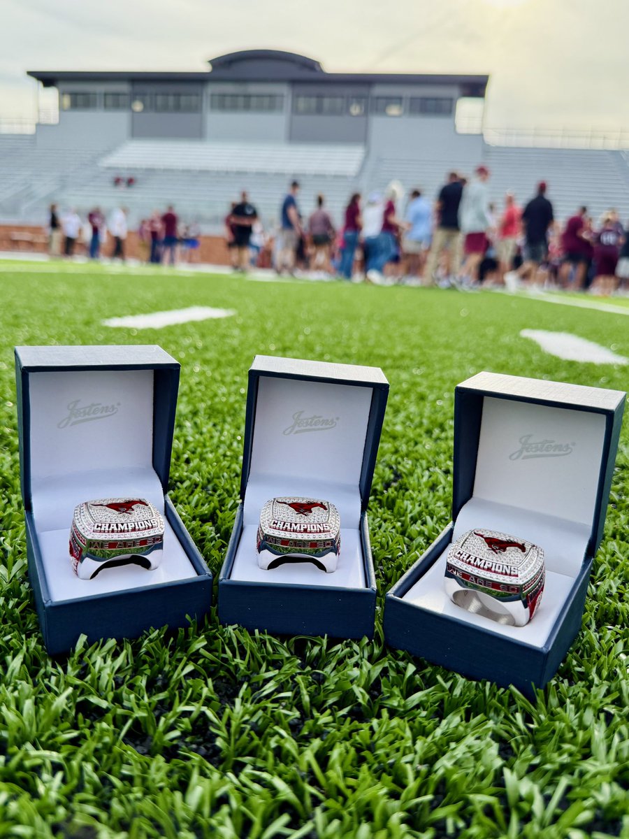 SC_MustangFB's tweet image. Fitting end with a terrific group!

Special thanks to our band, cheerleaders, twirlers, and parents for helping make this a special event and memorable night for our team and community. 🏈🏆💯

#WEareSC #PHAST #BuiltDifferent #7x