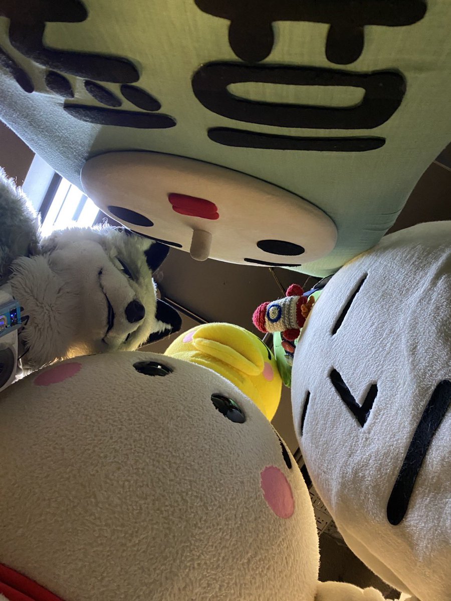 てるる(てるる子) tweet media