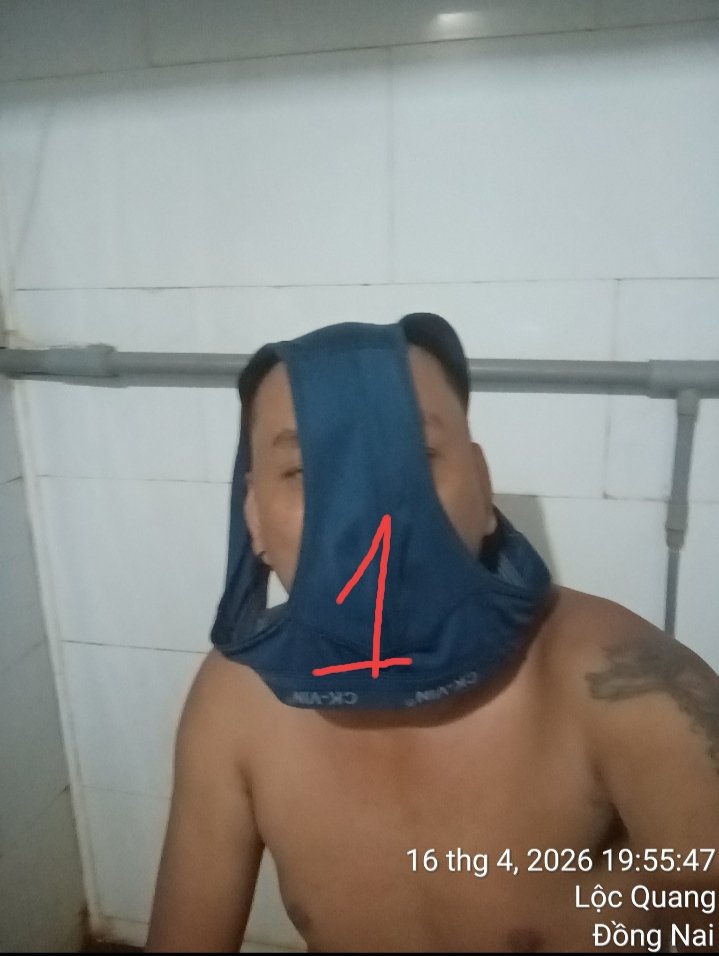 chó tìm chủ tweet media