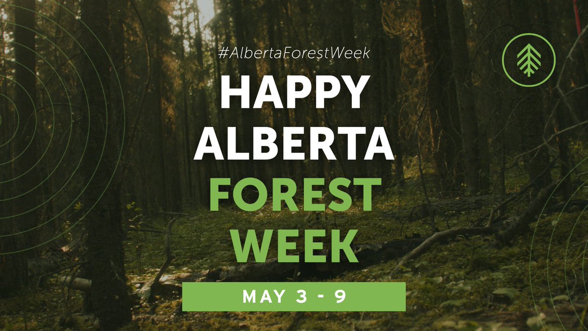 albertaforests's tweet photo. Happy #AlbertaForestWeek! 🌲

Join us over the next week as we celebrate Alberta’s trees, wildlife, water, science, and the people who keep our forests thriving.

Stay tuned as we explore Alberta’s forests!✨

#AlbertaForestry #ForestryCommunity #LoveABForests https://t.co/yzqt6O2gxF
