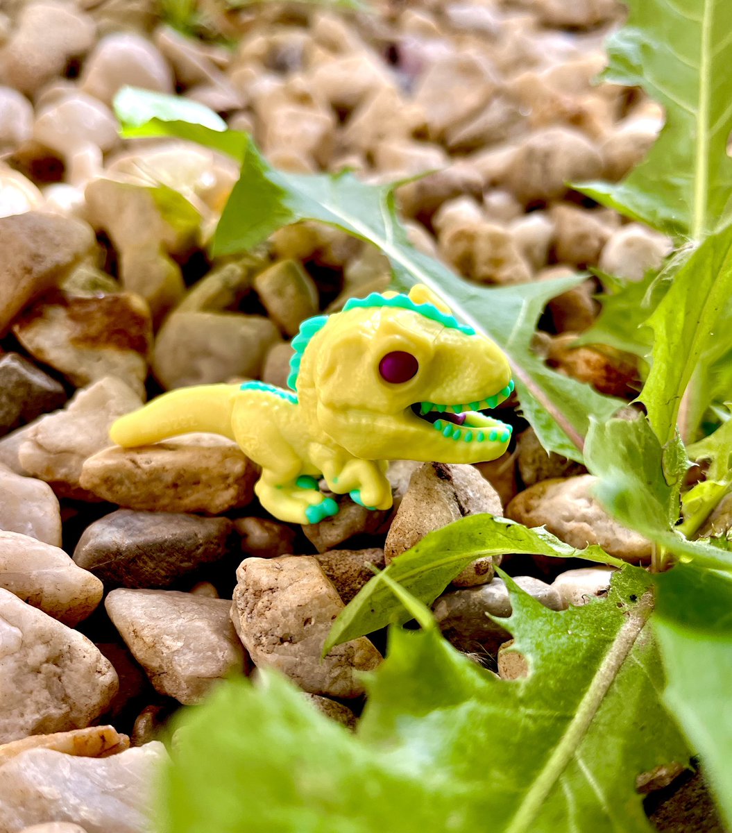 LifeFindsADino's tweet image. And...we have a second TRex!

#trex #tyrannosaurus #dinosaur
