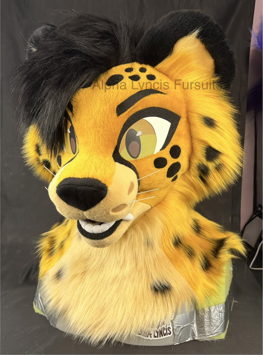 🌜Alpha Lyncis Fursuits🌛 tweet media