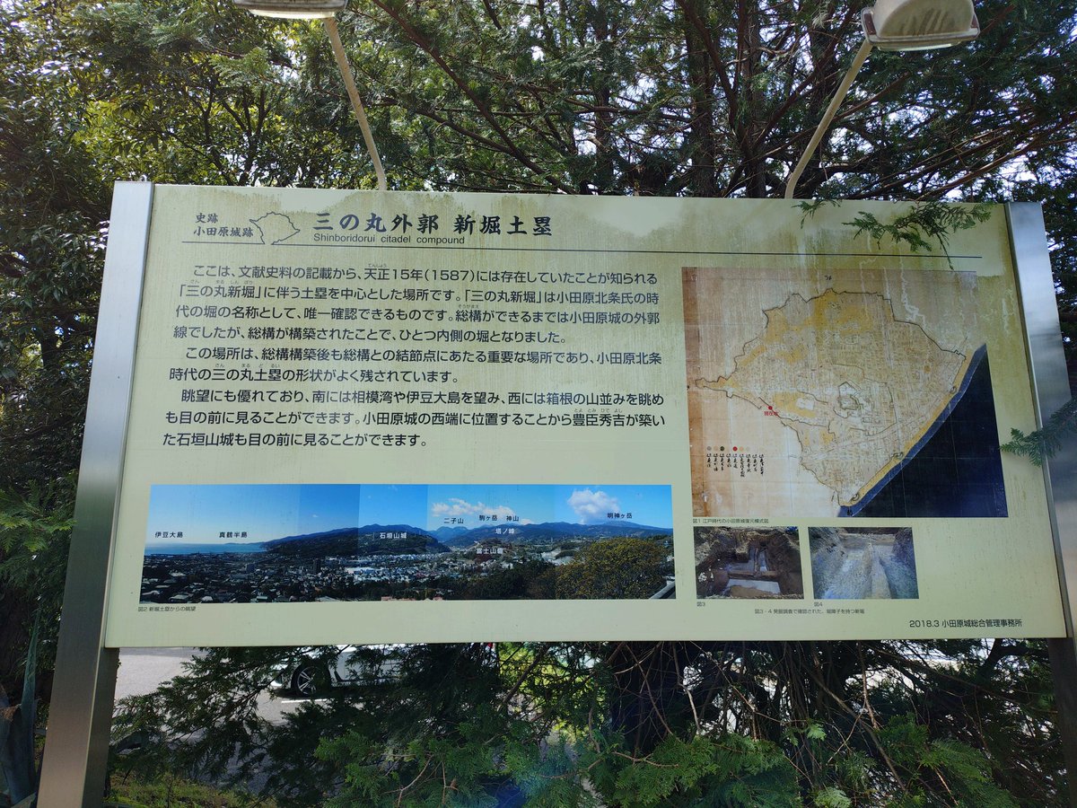 ハシタカ tweet media