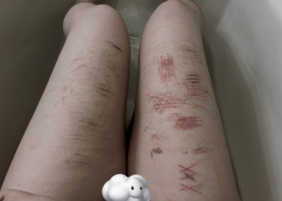 † doll ²⁰ tweet media