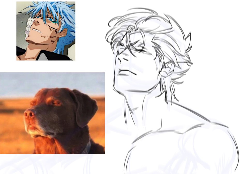 i hate drawing grimmjow's hair. fuck my stupid chud artist life