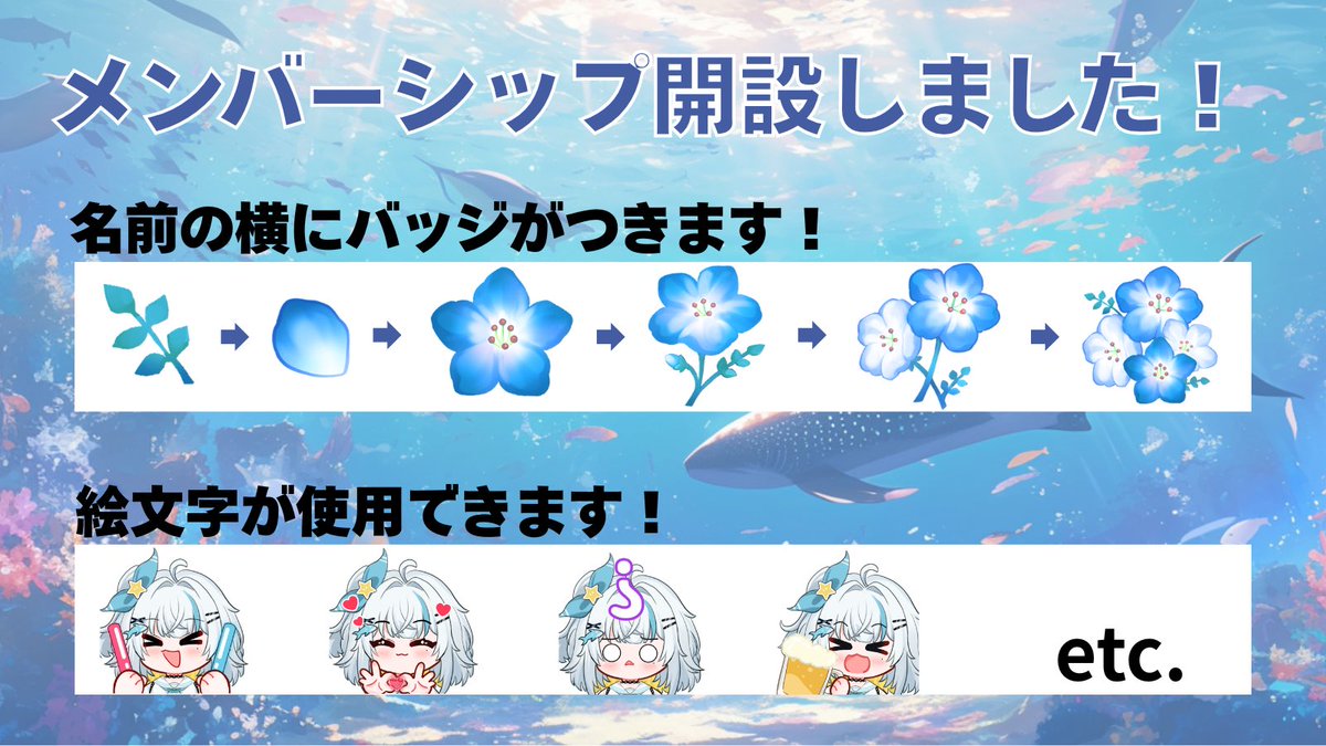星渚みいこ🌟🦈 tweet media