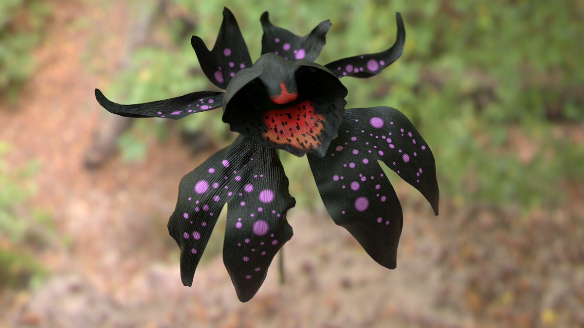 Razor3Digital's tweet image. Sci-fi flower study
#3d #blender