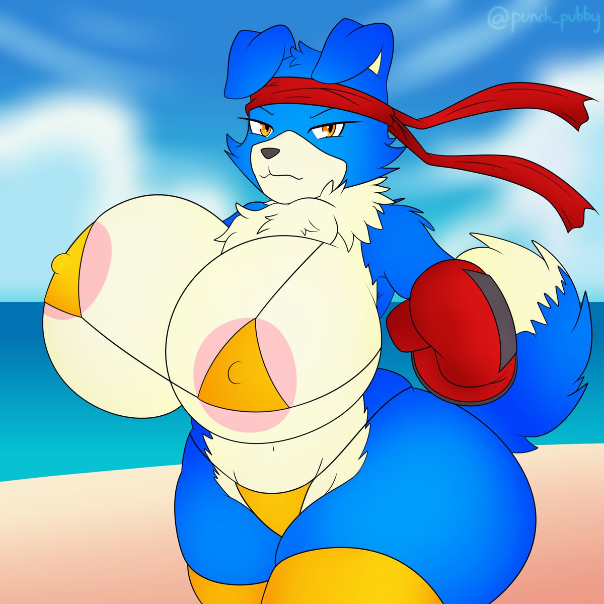 punch pubby tweet media