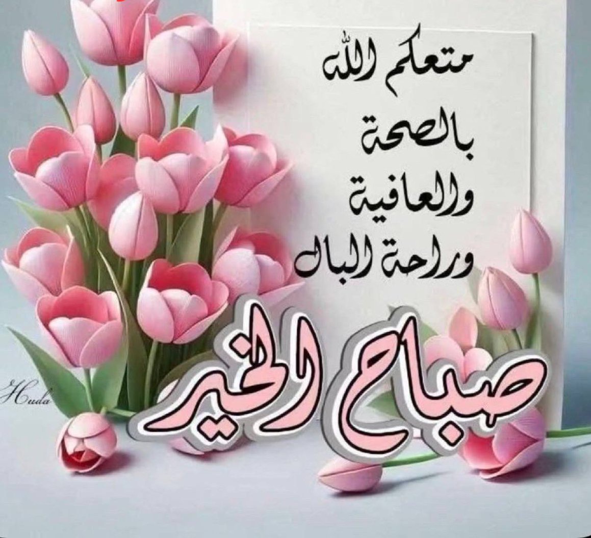 Tayyaba N.. tweet media