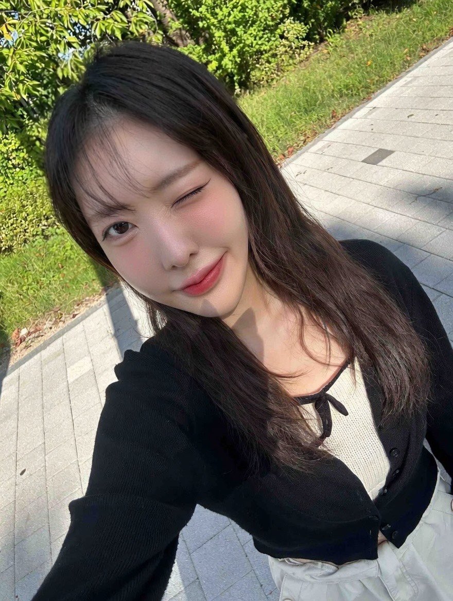 두바이폼폼푸린 tweet media