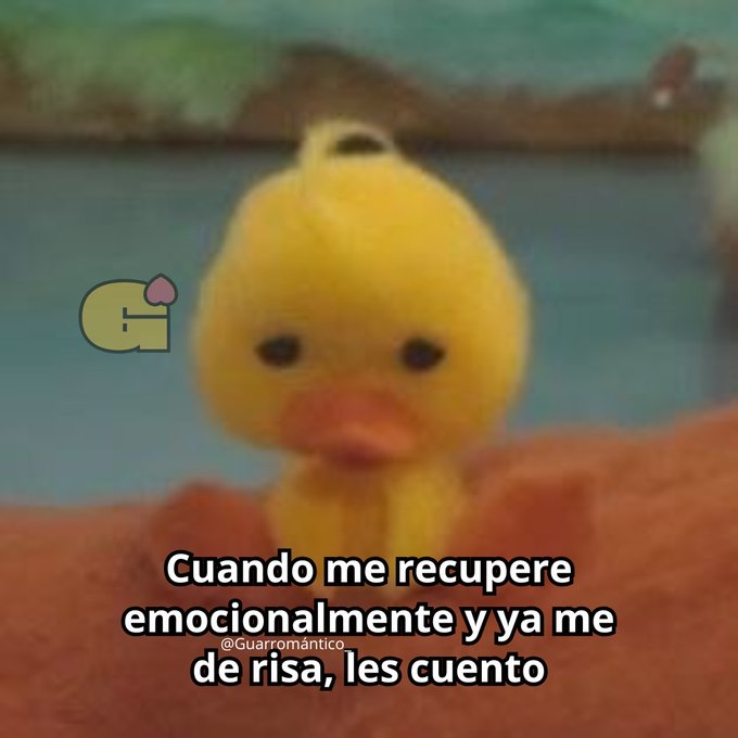 FraseSimple's tweet photo. https://t.co/6YlWbQFkW4