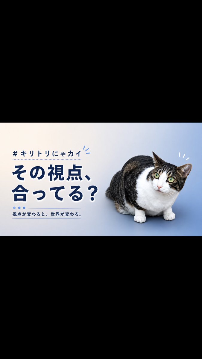 龍 tweet media