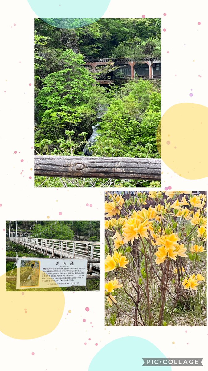 🌸富士がや美来🌸 💧🎀(🌸❛ᴗ❛ ）˚˙🌙 tweet media