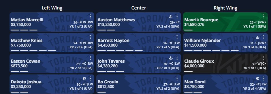Leafsfan101 tweet media