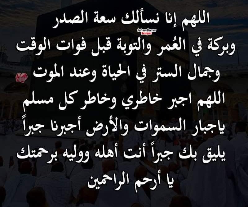 ميوش tweet media