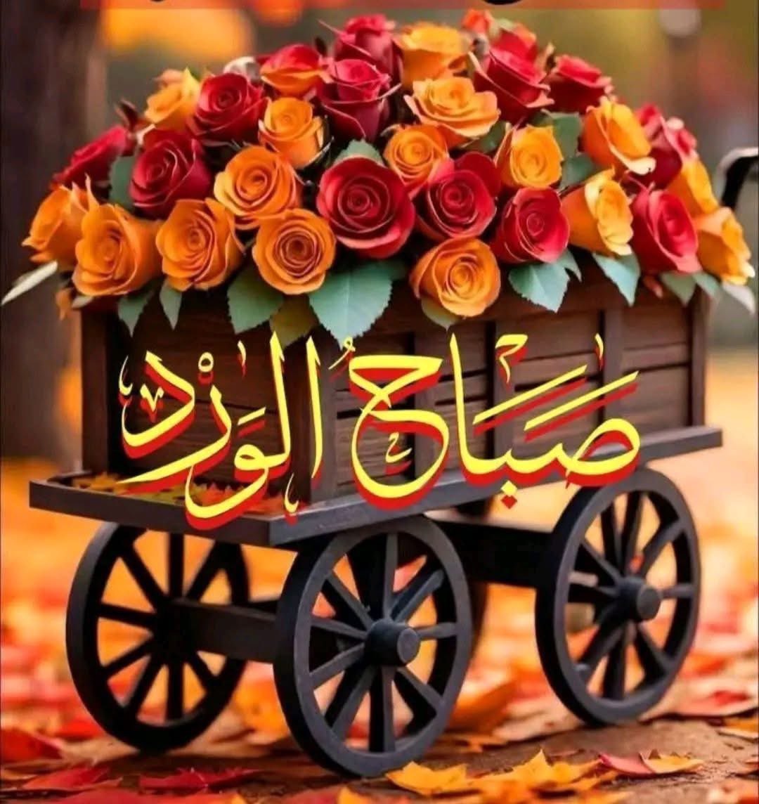 ام حمزه tweet media