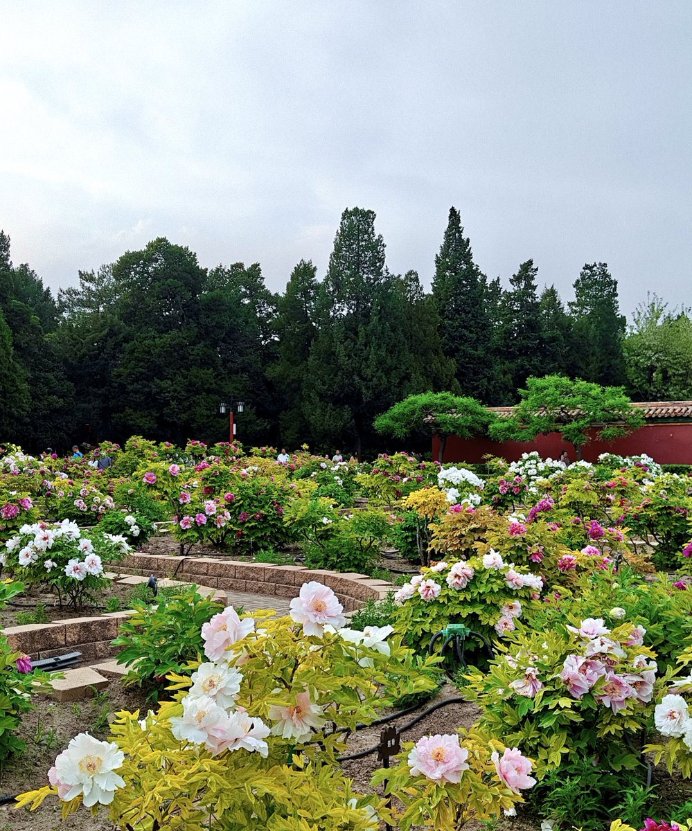 Visit Beijing tweet media