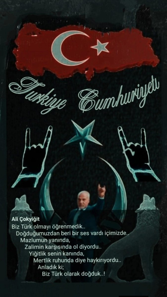 AliOKYT2's tweet photo. Biz Türk Olmayı Öğrenmedik.. 
   Biz Türk Olarak Doğduk..! https://t.co/4WFT90gcli