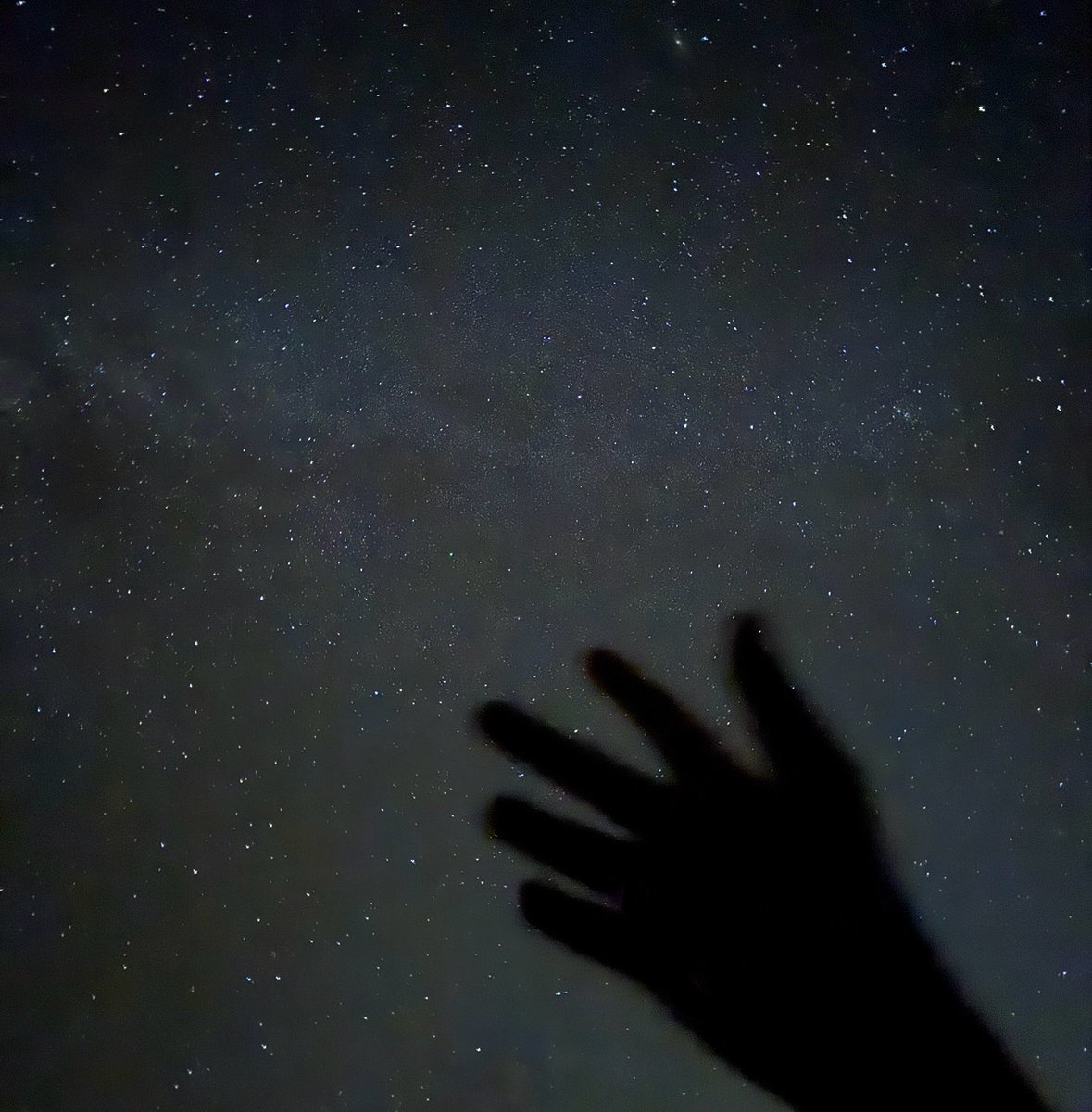 Jasmine 🌌🔭 tweet media
