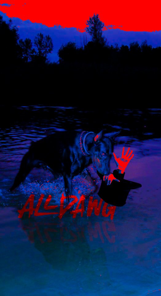 pistonswonagain's tweet photo. the end of magic #DetroitBasketball #AllDawg https://t.co/xyWXRACNMd