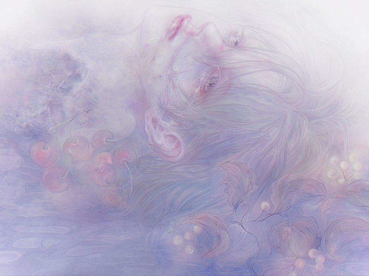 𝓃 ℴ 𝒶 ゜ tweet media