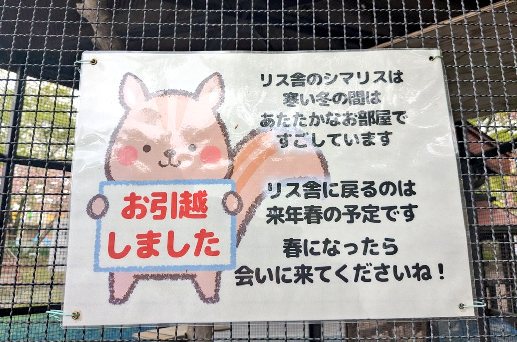 ＼(^めぐ^)／ tweet media