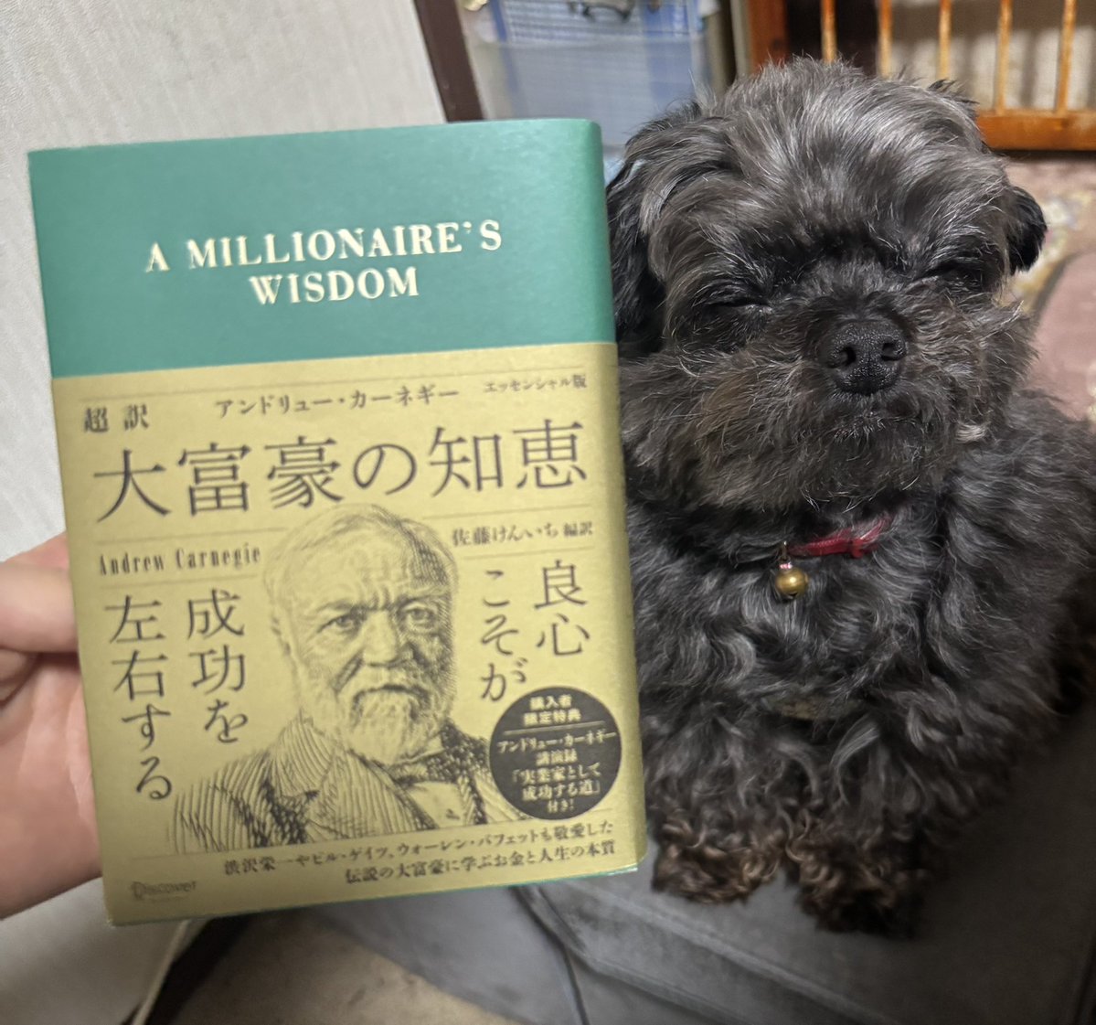 🌷あきこ🌷Kサロンでゆる副業☕️資産7000万目標！入金力も高めたい✨ tweet media
