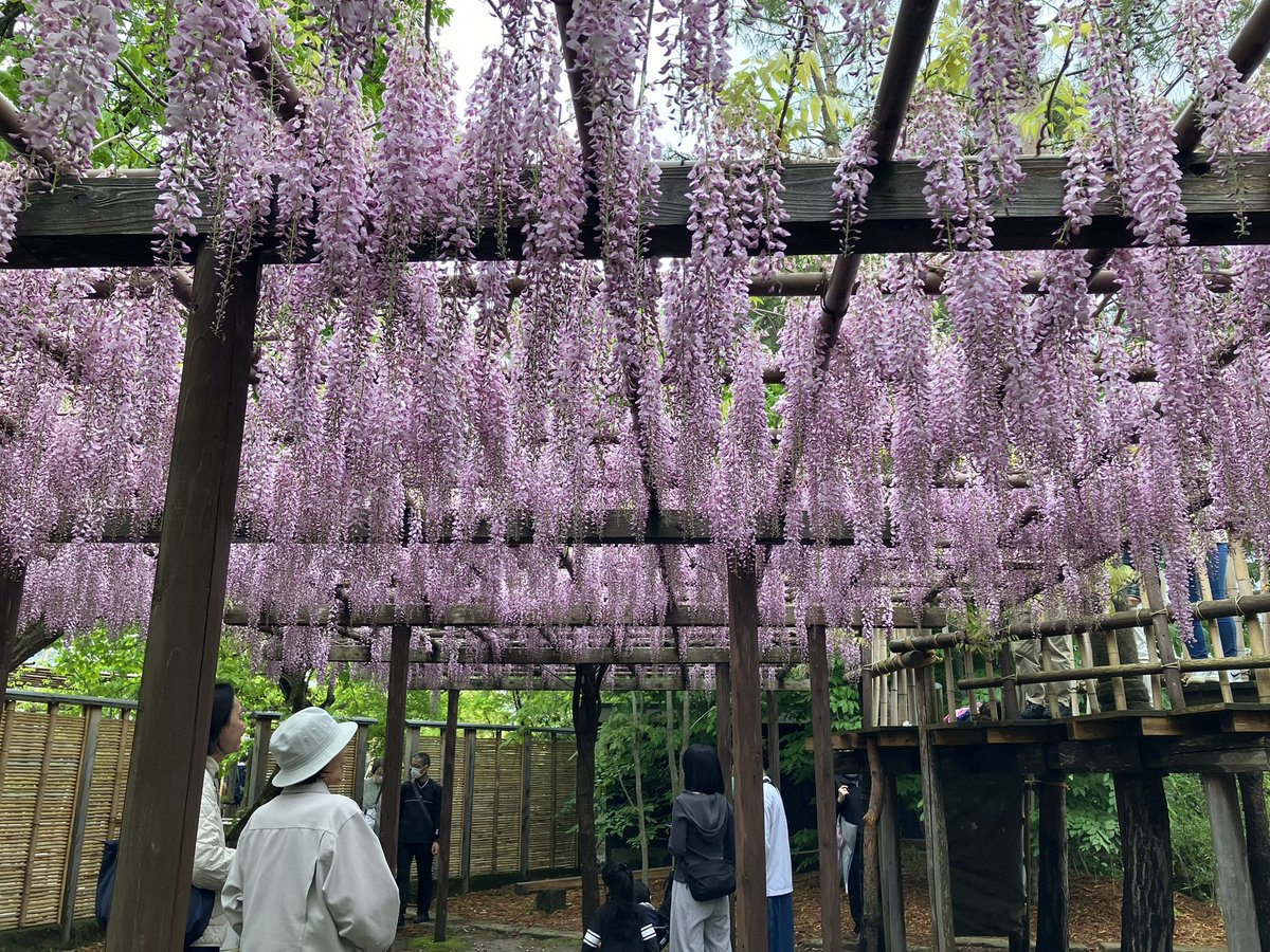 豪農の館 北方文化博物館 tweet media