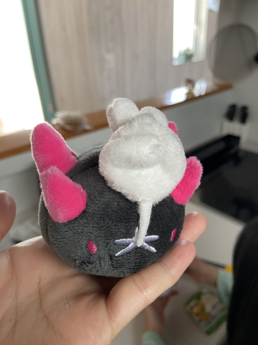 あ！ピースしてるwww
