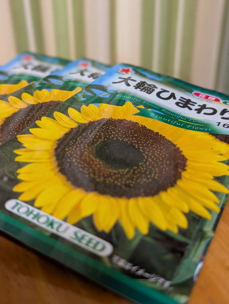 向日葵の種第二弾届いた！ これで撒ける🌻🌱😆