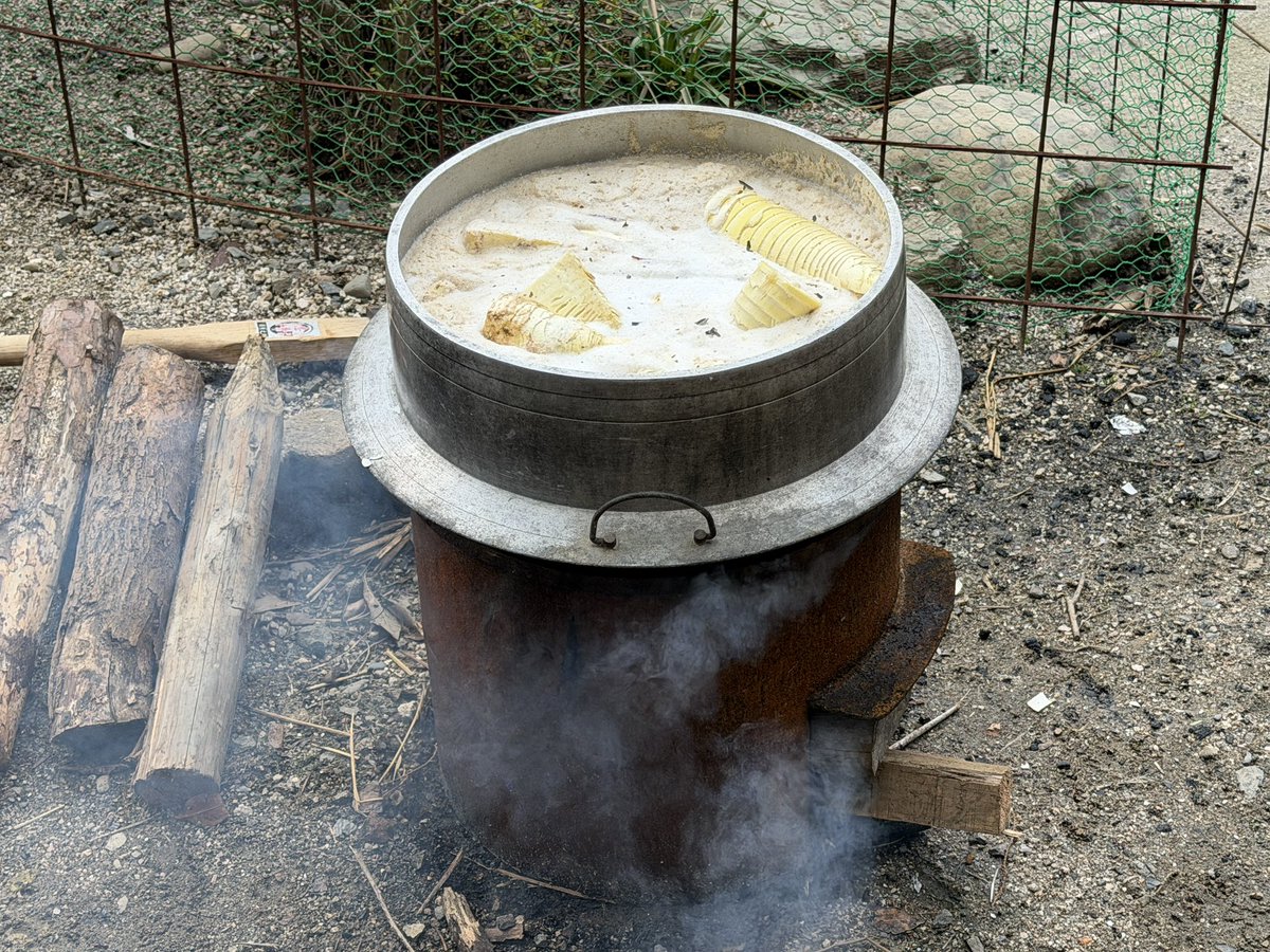 茶園しょこたん tweet media