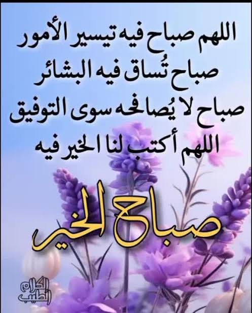 الص.مت 🌹 tweet media