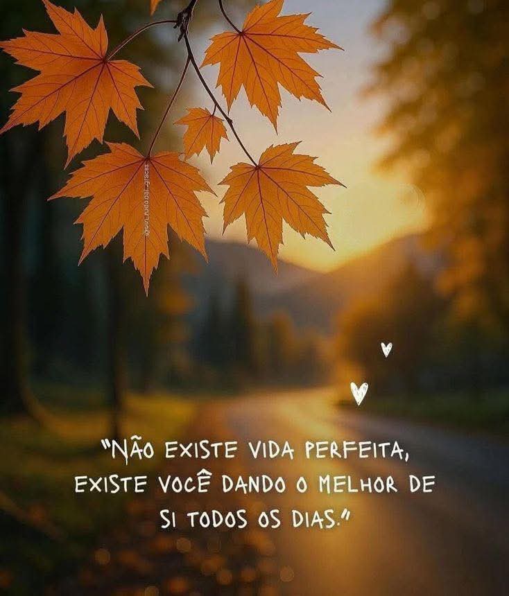 Carmo Senna Moreira❤️💃🌹 tweet media