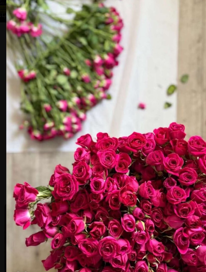 ام خالد 💕 tweet media