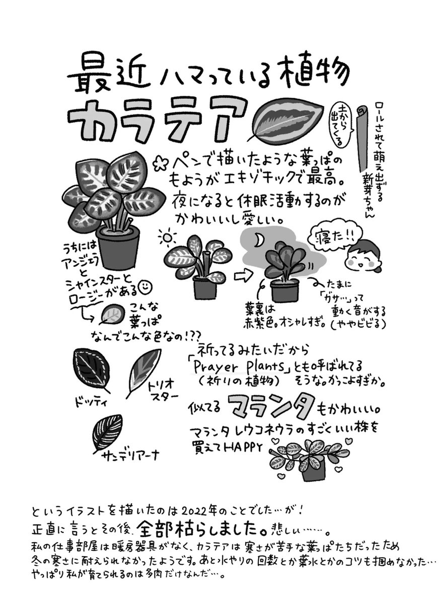 再録本からの再録🤓
■化粧水の話
スキンケアはロート製薬かエリクシールの二択だったけど最近目のまわりが荒れ気味で気になるので昨日イハダ買った!5月は外出の予定があるから連休中に落ち着いてほしい…