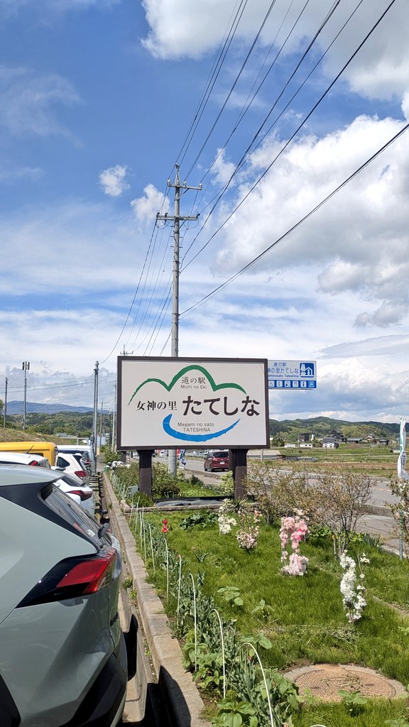 ヤバし | yabashimong tweet media