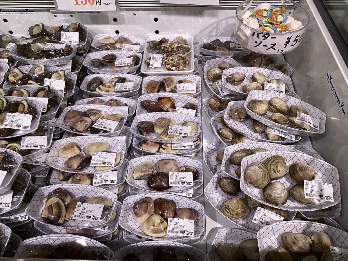 5/4（月） 本日の底引き網漁は、休漁です😌 朝の店内の様子です