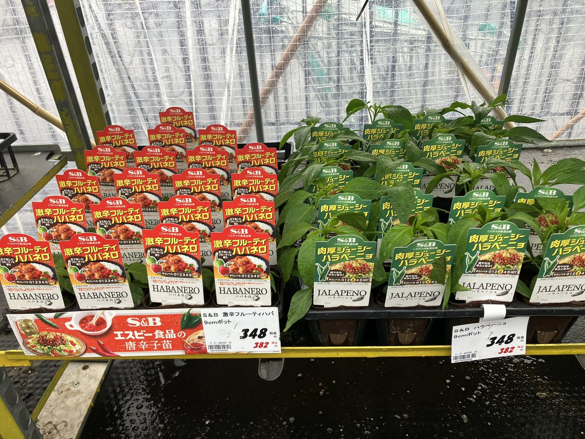キネマ tweet media