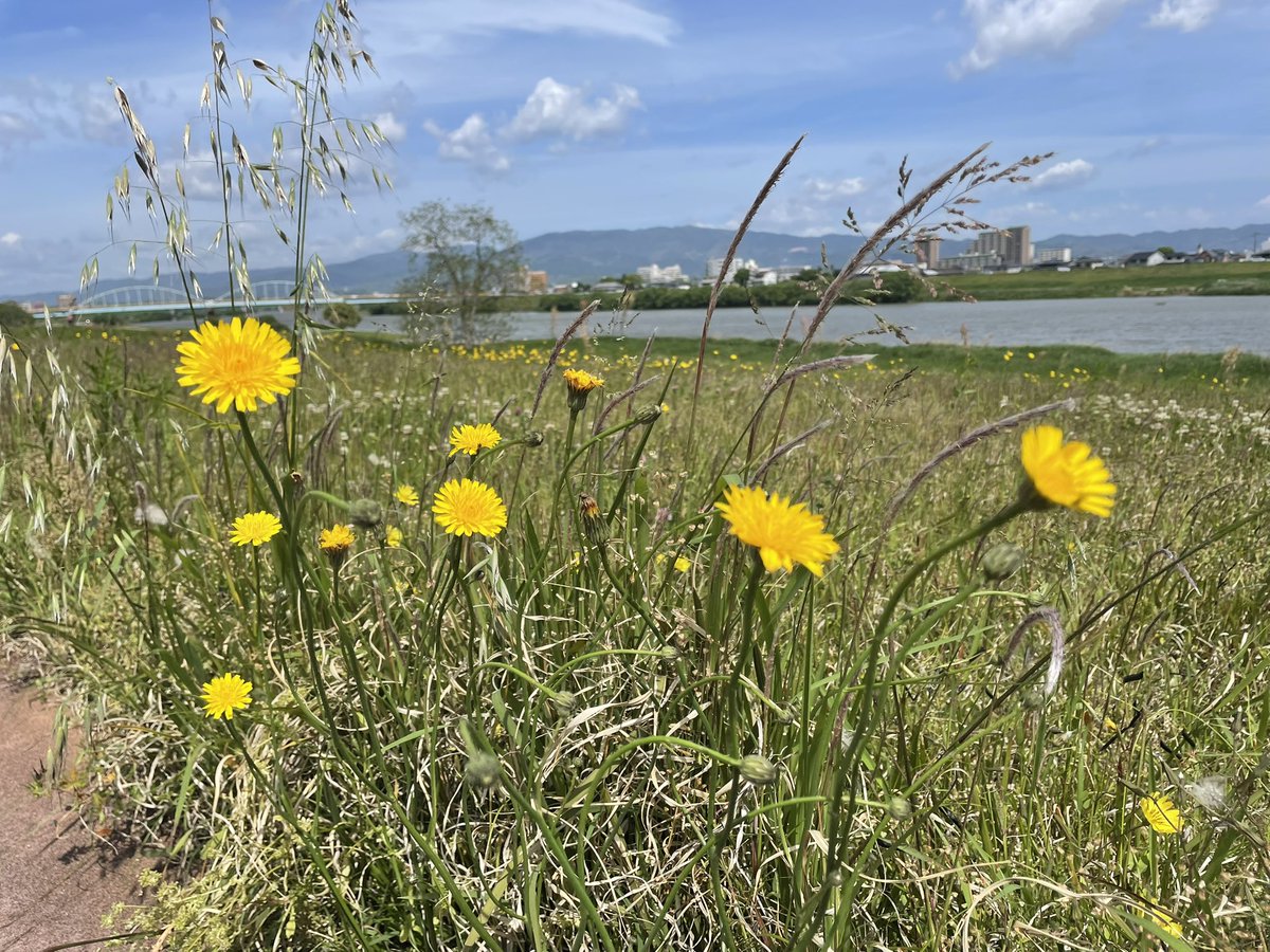 Tomo_Mrk3B01's tweet photo. Nature views on my jogging course today!
Now spending a relaxing time jogging &amp; breathing fresh😉
#twinglish #jogging #walking #natureview https://t.co/oCc8rZZ8Sh