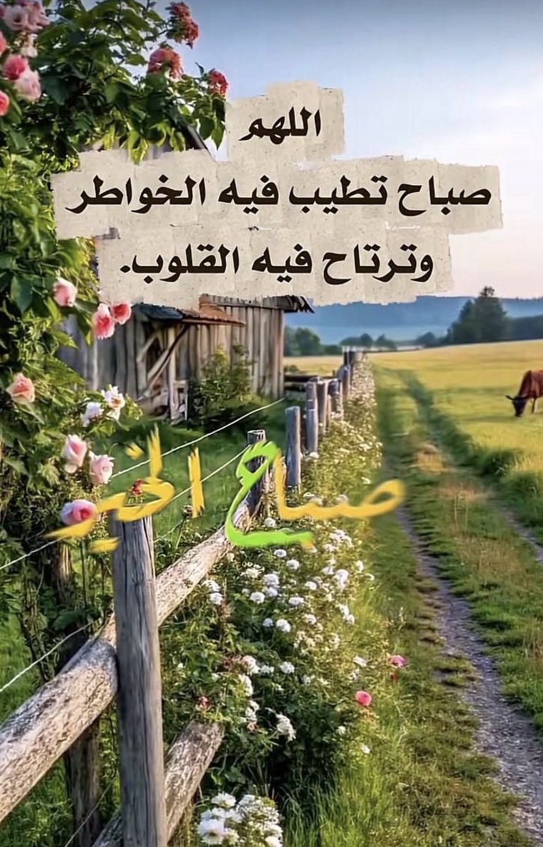 صمت المشاعر🔕 tweet media