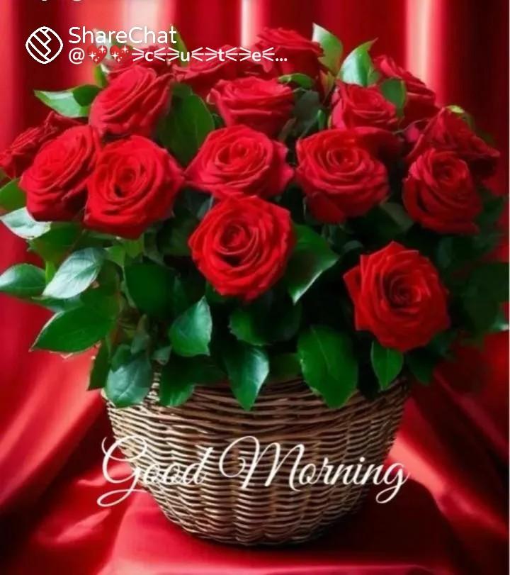 satyavi33429214's tweet image. सुप्रभात मित्रों आप सभी का दिन मंगलमय हो 🌷🌷 
#HappyMonday🌷🌹🌺💐🪴🌲🌞🌎🌱