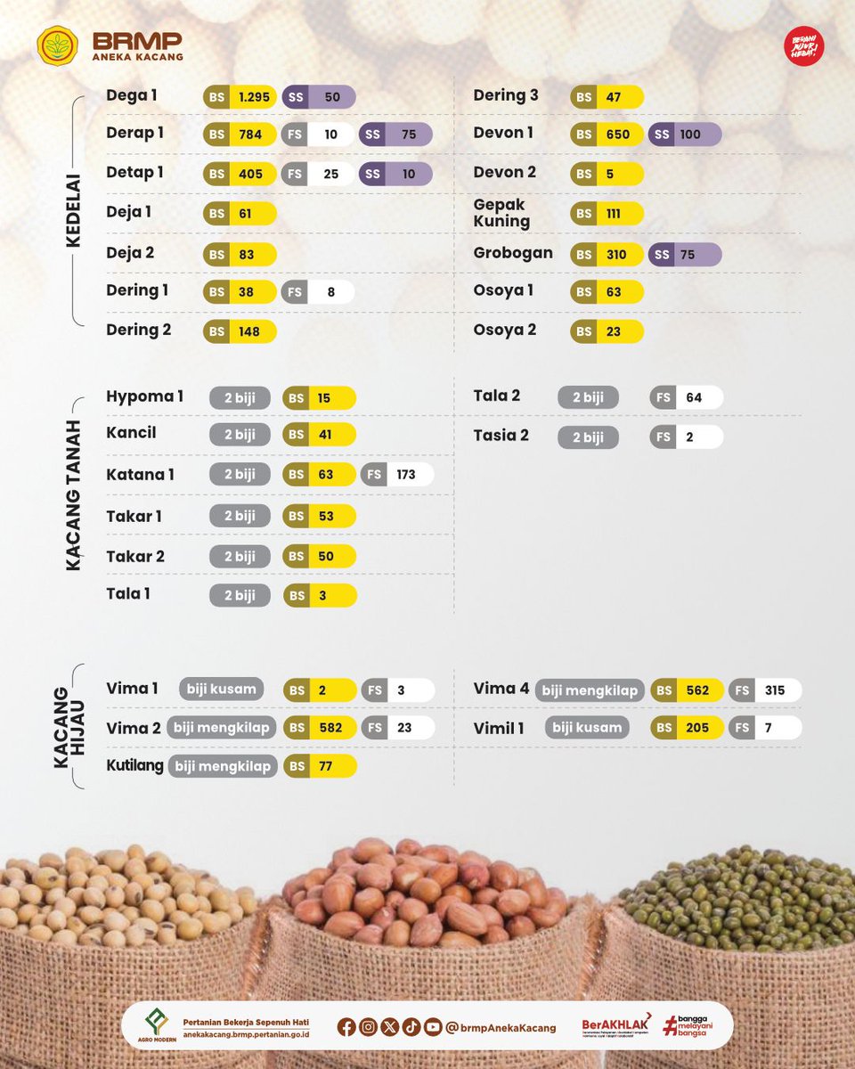 brmpanekakacang's tweet image. 🌱 Stok Benih Sumber Aneka Kacang (BS, FS, dan SS) 4 Mei 2026
-
Untuk pemesanan dan informasi lebih lanjut silakan hubungi sdr. Haris Setyoso (085330627462) atau link yang ada di bio 👍

#kementerianPertanian #brmpKementan #benihAnekaKacang #banggaMelayaniBangsa