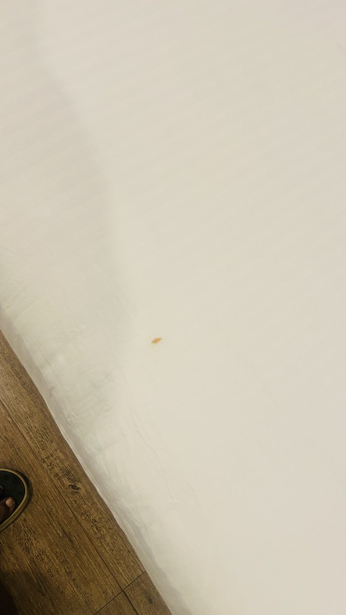 rajuswamydorai's tweet image. Poor experience at OYO Townhouse

No cleanliness, poor maintenance
❌ AC not working
❌ Geyser not working

Unacceptable! Fix this ASAP.

@oyorooms @OYO4U

#OYO #Bangalore #PoorService
